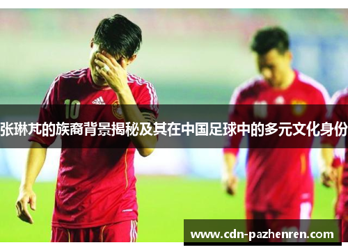 张琳芃的族裔背景揭秘及其在中国足球中的多元文化身份 张琳芃的族裔背景揭秘及其在中国足球中的多元文化身份
