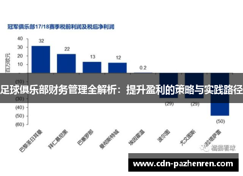 足球俱乐部财务管理全解析：提升盈利的策略与实践路径