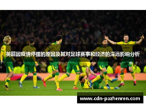 英超因疫情停摆的原因及其对足球赛事和经济的深远影响分析 英超因疫情停摆的原因及其对足球赛事和经济的深远影响分析