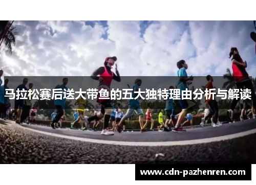 马拉松赛后送大带鱼的五大独特理由分析与解读